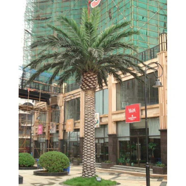 Fake Canary Date Palm Tree
