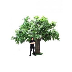 人工の古代オークの木